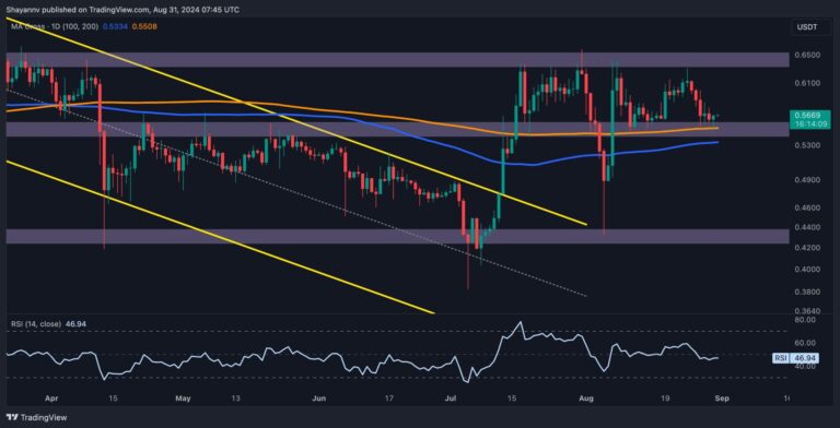 XRP D 6 scaled