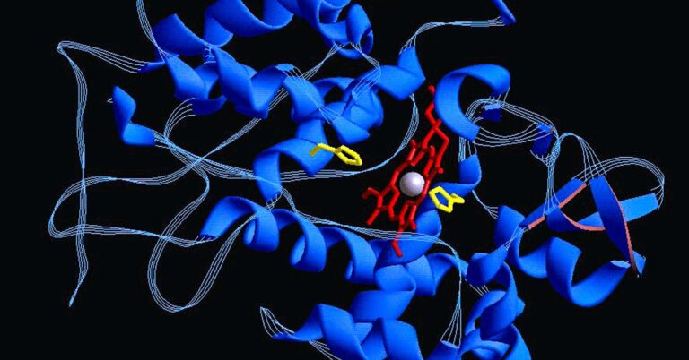 protein structure sci 615305264