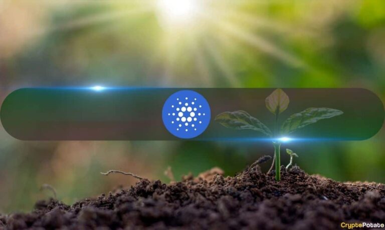 Cardano Growth