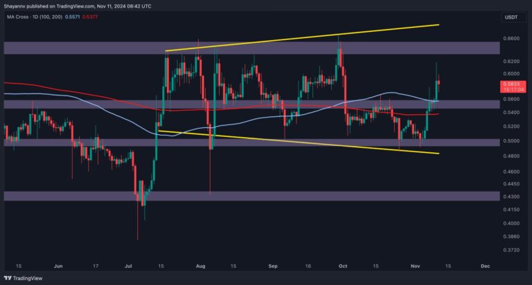 XRP D 2 scaled