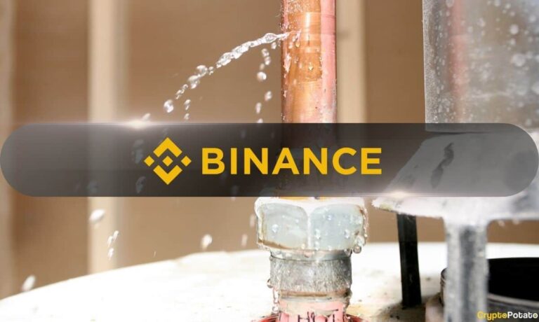 Binance Leak