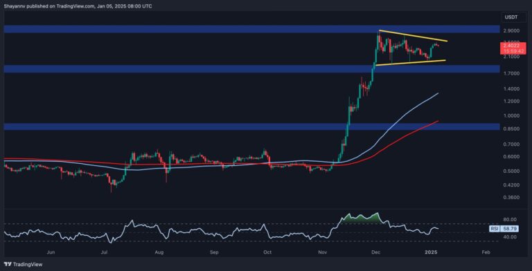 XRP D scaled