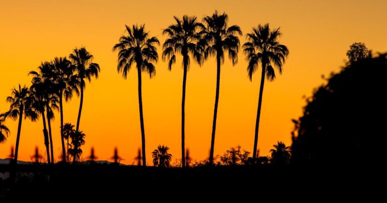 urlhttps3A2F2Fcalifornia times brightspot.s3.amazonaws.com2F0a2Fb92F28c233b2491fbd4af3189b41f5122Fgettyimages 1386699311
