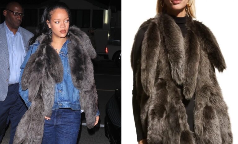 4 Rihannas Giorgio Baldi Dior Hooded Denim Jacket Agolde Dame Jeans and a Bottega Veneta Tails Scarf copy