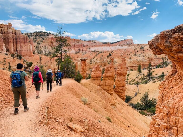 Bryce IMG 6525