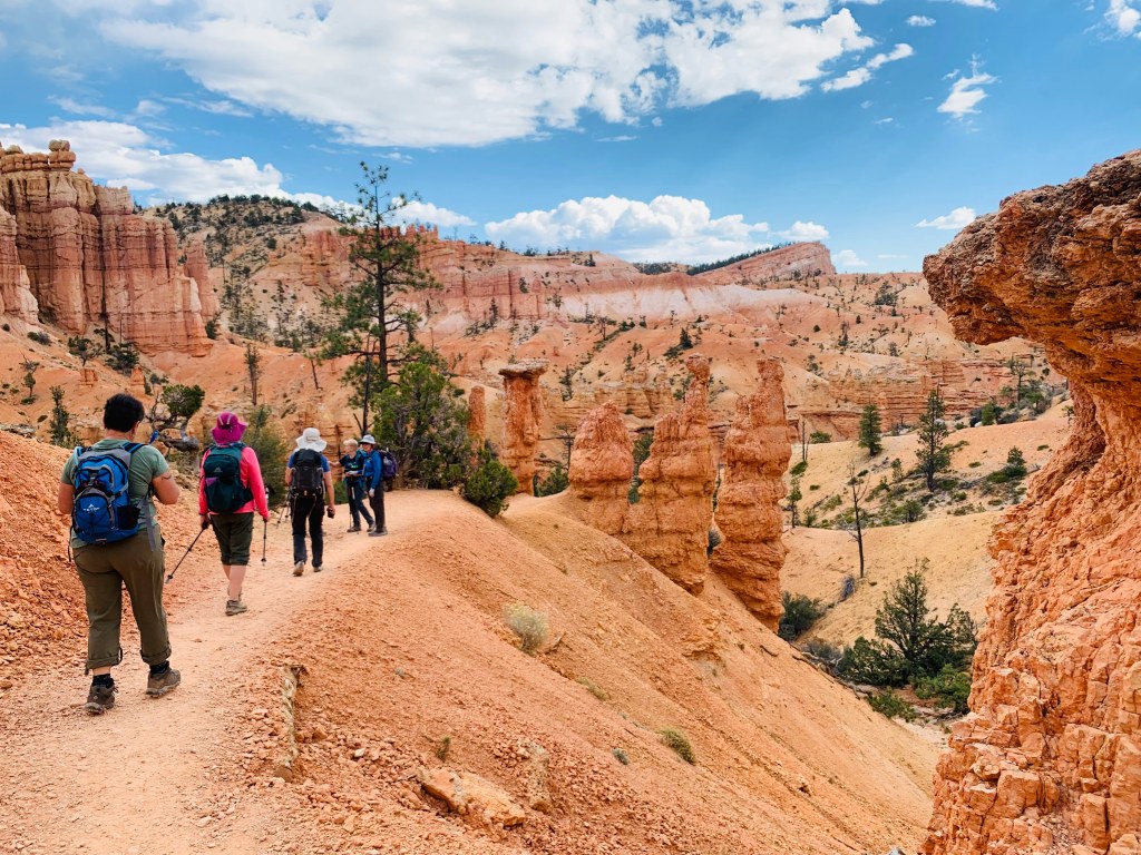 Bryce IMG 6525